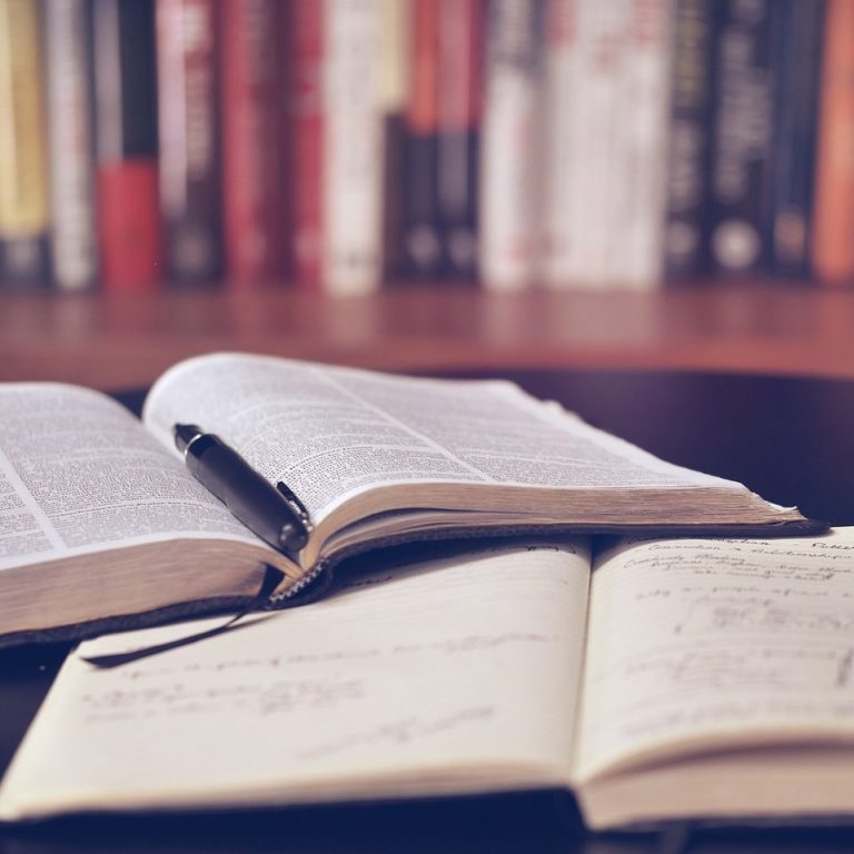 material de apoyo tanto de teoría como de práctica